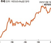 한풀 꺾인 원자재 가격.. 구리 10%·대두 19% 빠졌다