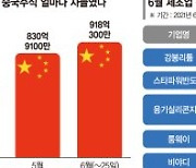 중국증시로 우르르.. 반도체·성장주 쓸어담는 '중학개미'