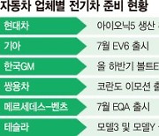 '신형만 5개' 하반기 전기차 풍년..7월 보조금 2차戰 시작