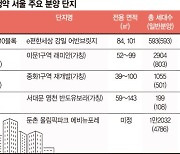 서울 중·대형 아파트 '추첨물량' 단비온다