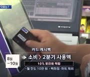 내수 진작 위한 '캐시백'?.."고소득층만 혜택"