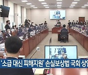 '소급 대신 피해지원' 손실보상법 국회 상임위 통과