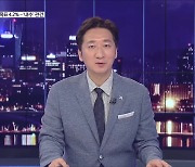 [심층인터뷰] 성장률 목표 4.2%..'내수' 관건