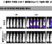 툴젠 "차세대 CAR-T 기술이전 계약 체결..내년 美 1상 예정"