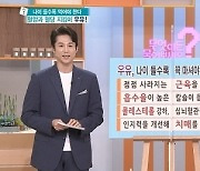 뼈 건강은 물론 혈당과 혈압까지 지켜주는 '우유'