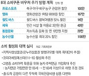 농수산물 할인 등 소비쿠폰, 1441만명에 발행..내수활성화 '총력'