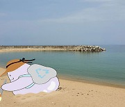 [지구용] "해변에 웬 주사기?..바닷가 쓰레기로 작품 만드는 비치코밍