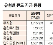 [표]유형별 펀드 자금 동향(6월 25일)