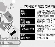 [ESG시장 개척 나선 회계업계]컨설팅서 공시·인증까지..전문팀 꾸린 회계 빅4, ESG 정조준