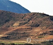 홍수 걱정에 나무 심는 북한.."산림조성 안하면 수해 못 막아"