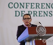 MEXICO GOVERNMENT FEMINICIDES