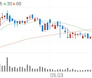 피제이전자, +5.08% 52주 신고가