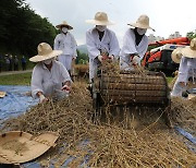 [Photo] Harvesting organically grown Korean barley