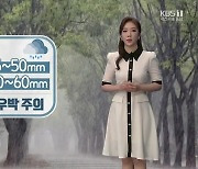 [날씨] 대전·세종·충남 내일 10~60mm 소나기..돌풍·벼락·우박 주의