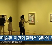 대구미술관 '이건희 컬렉션' 일반에 공개