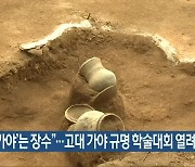 "'반파가야'는 장수"..고대 가야 규명 학술대회 열려