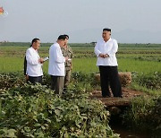 UN provided $5.9m to North Korea to tackle food shortages