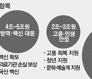 "하위 80% 재난지원금..1인 25만~30만원"..지급시기는