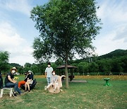 양구군 공공미술 프로젝트 '내 이웃의 의자' 파로호 꽃섬서 첫선