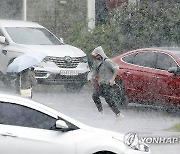 전남 곡성 옥과 82mm 국지성 호우..지난해 수해 피해지역 긴장