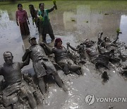 NEPAL PHOTO SET AGRICULTURE NATIONAL PADDY DAY