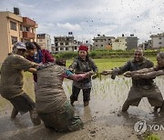 epaselect NEPAL PHOTO SET AGRICULTURE NATIONAL PADDY DAY
