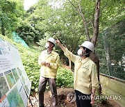 풍수해 대비 현장점검 나선 김수영 양천구청장