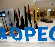 OPEC+, 증산 합의 불발..5일 재협상