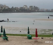 지각 장마 시작 제주, 오후엔 강풍도.."시간당 20mm"