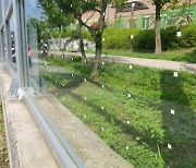 [Reporter's notebook] How "Bird Friends" save birds from noise barriers