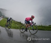 France Cycling Tour de France