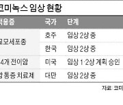 코미팜 뇌종양 치료제 '美 희귀의약품' 지정