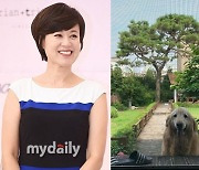 박미선, 넓은 마당에 30년 넘은 소나무까지..단독주택 일상 공개