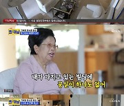 이수영 美정부서도 월세 받는 클래스 "월 4000만원, LA 별장 11억 ↑" ('와카남')[종합]