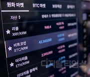 가상화폐 투자자 중 25%는 손해봤다