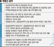 "공급부족 앞엔 백약이 무효인데.. 되레 규제 강화라니" [부동산 증세 시즌2]