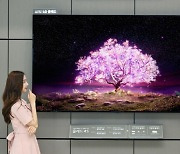 [K-전자 '투톱' 날았다] 가전 받치고 TV 끌고..실적호조 쌍두마차