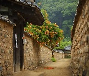 정작 한국인은 잘 모르는 한국의 문화 [삶과 문화]