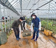 해남군 전 공직자, 호우 피해 복구 대민 지원