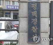 총기 들고 1t 차량 훔친 복면男..알고보니 '장난감 총'