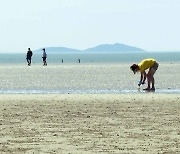 반복되는 갯벌사고..밀물보고 나오면 이미 늦어