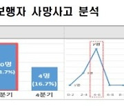 여름철 '스텔스 보행자' 주의보.."신고와 예방이 최선"