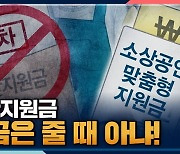 [뉴스하이킥] 채이배 "재난지원금, 지금은 줄 때 아냐"