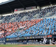 KBO, 코로나19 선수 확진여파..프로야구 리그 중단키로