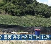 '호우·돌풍' 충주 농경지 피해 14만㎡