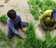 PAKISTAN AGRICULTURE