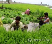 PAKISTAN AGRICULTURE