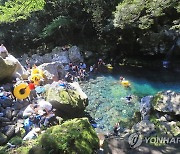 무더위 쫓아줄 '얼음장' 제주 하천..물놀이에 최적 수질