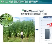 전북도, 친환경 사료작물 '케나프'로 바이오 플라스틱 개발한다