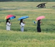 연일 무더위 대전에 호우주의보..시간당 50mm 소나기